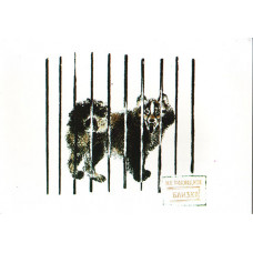Чарушин Е. 1989. Эскимосская собака
